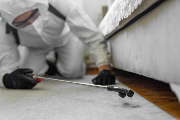 Professional Bed Bug Control technician working in Morgan's Point Resort, TX