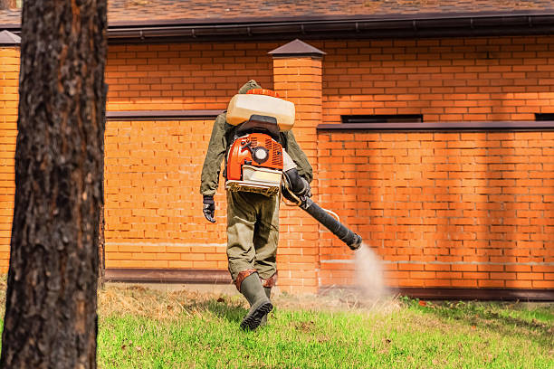 Trusted Fumigation Services service in Morgan's Point Resort, TX - Nex Pest Control